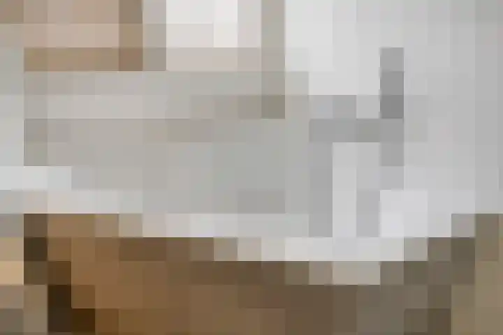 Valkenier 16 Barneveld thumbnail 25