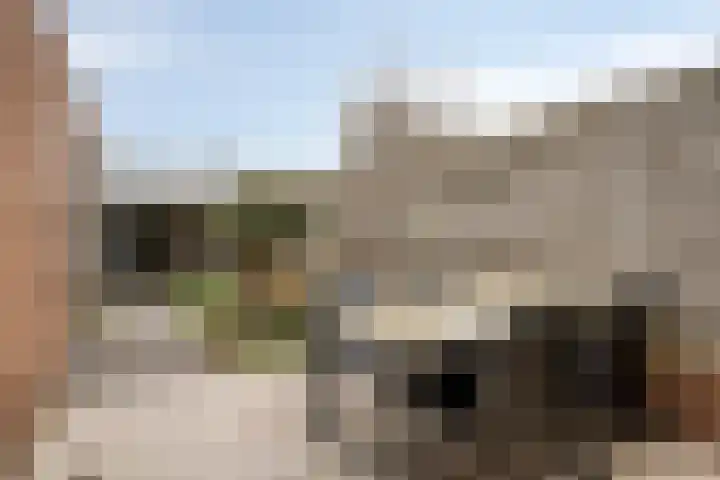 Valkenier 16 Barneveld thumbnail 31