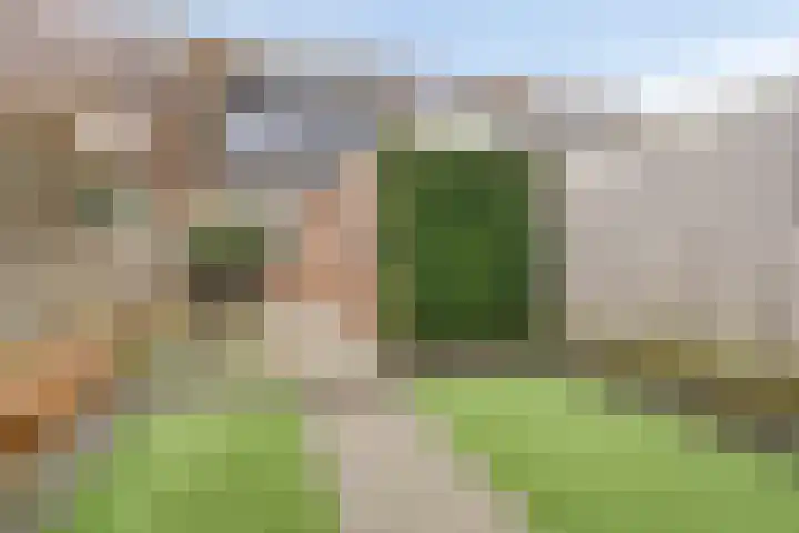 Valkenier 16 Barneveld thumbnail 32