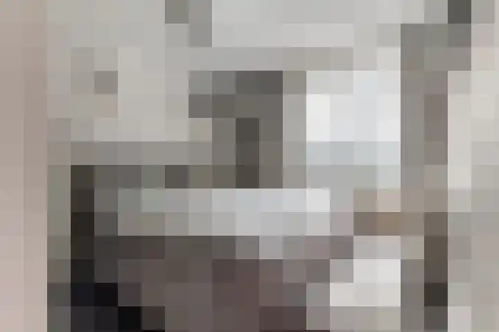 Valkenier 23 Leerdam thumbnail 25