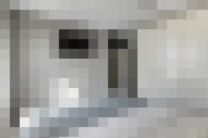 Valkenier 23 Leerdam thumbnail 26