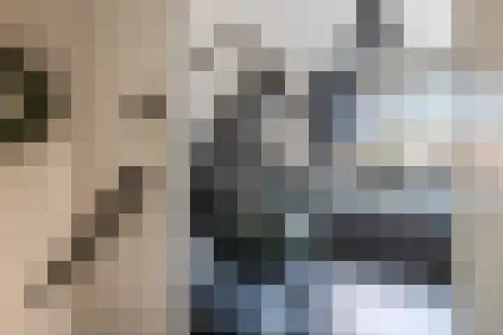 Valkenier 23 Leerdam thumbnail 32