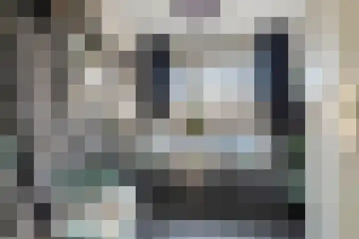 Valkenier 23 Leerdam thumbnail 33