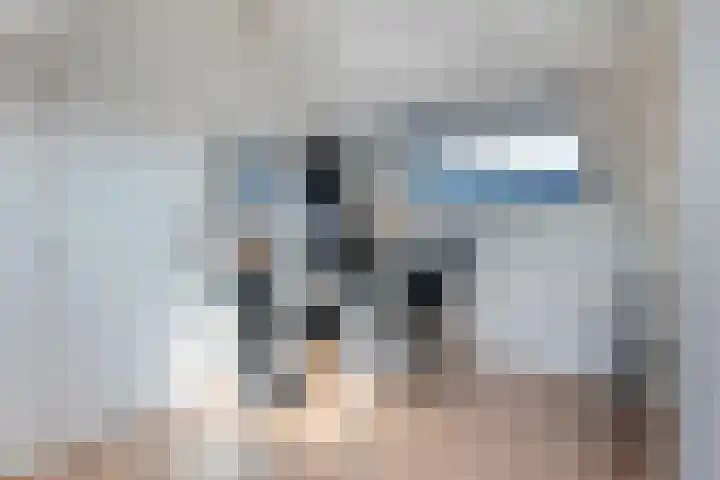 Valkenier 23 Leerdam thumbnail 37