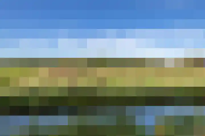 Valkenier 23 Leerdam thumbnail 4