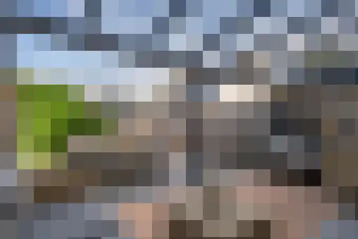 Valkenier 23 Leerdam thumbnail 40