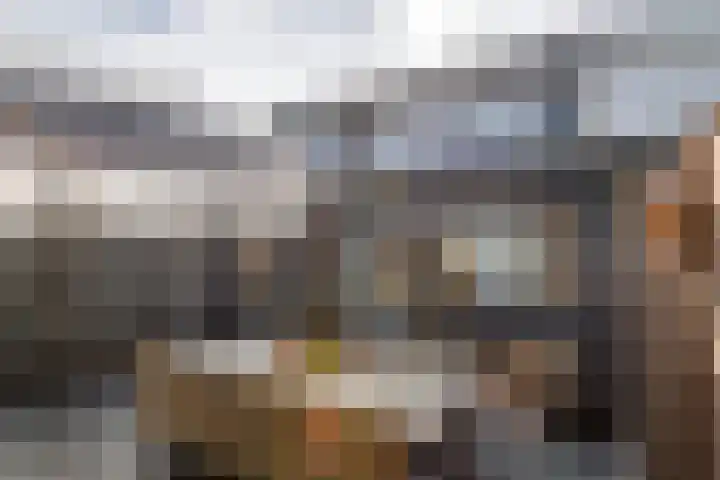 Valkenier 23 Leerdam thumbnail 43