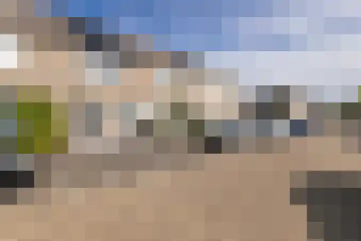Valkenier 23 Leerdam thumbnail 5