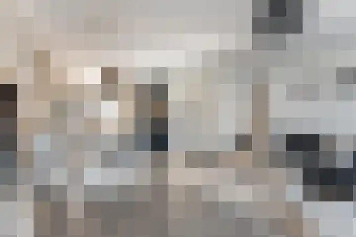 Valkenier 23 Leerdam thumbnail 8