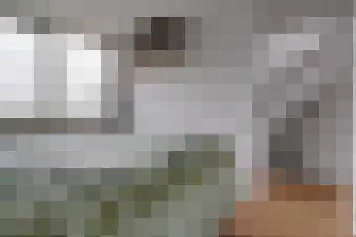 Valkenier 25 Leerdam thumbnail 15