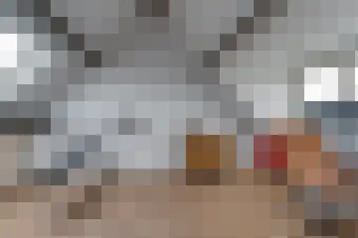 Valkenier 25 Leerdam thumbnail 26