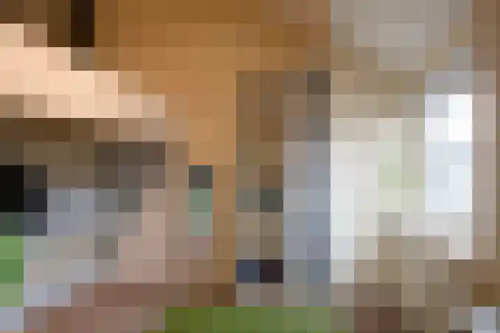 Valkenier 3 Malden thumbnail 22
