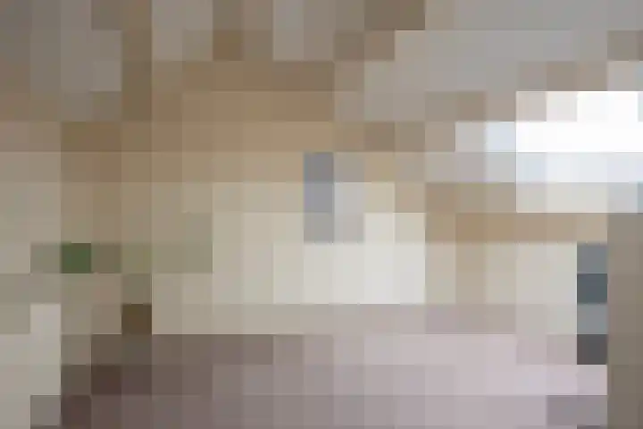 Valkenier 3 Malden thumbnail 26