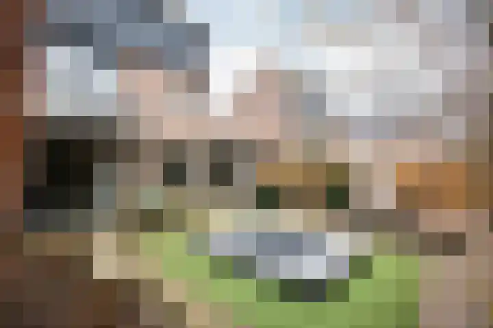 Valkenier 3 Malden thumbnail 31