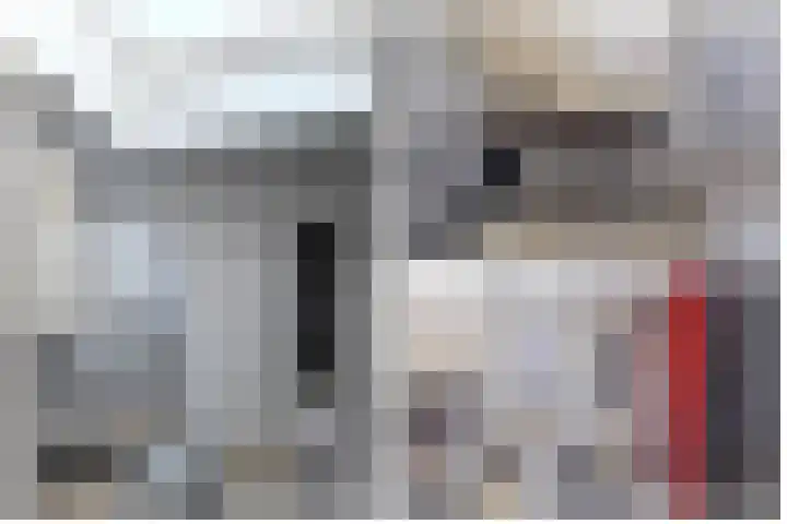 Valkenier 5 Leerdam thumbnail 12