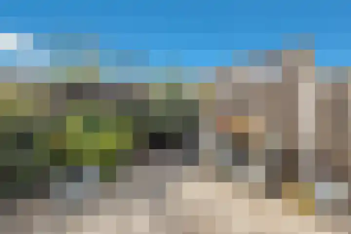 Valkenier 5 Leerdam thumbnail 15
