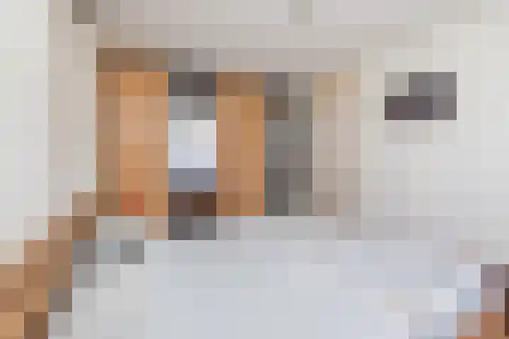 Valkenier 5 Leerdam thumbnail 22