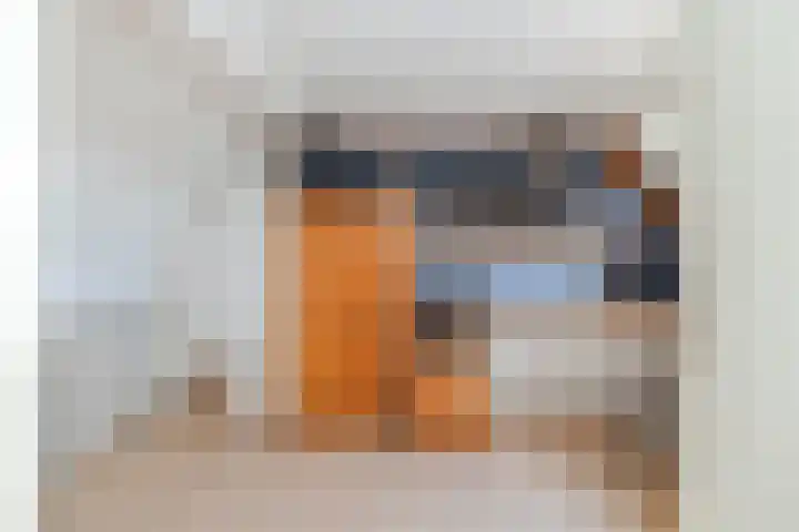 Valkenier 5 Leerdam thumbnail 31