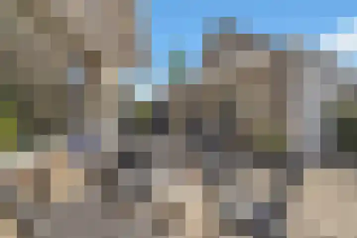 Valkenier 5 Leerdam thumbnail 4