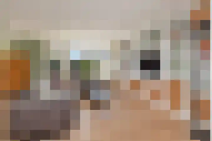 Valkenier 5 Leerdam thumbnail 5