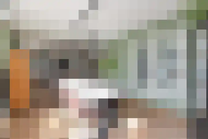 Valkenier 5 Leerdam thumbnail 7