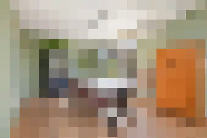Valkenier 5 Leerdam thumbnail 8