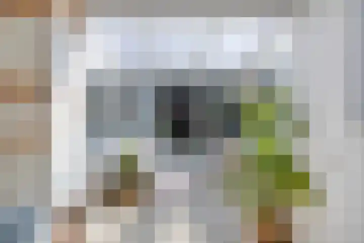 Valkenier 5 Malden thumbnail 14