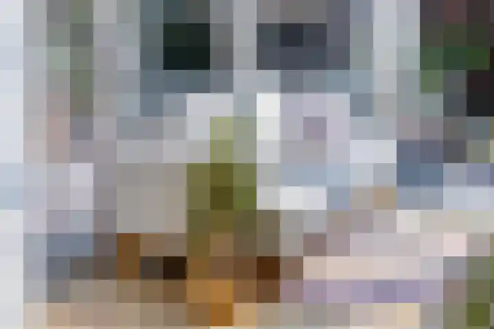 Valkenier 5 Malden thumbnail 15