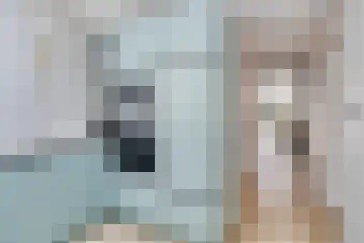 Valkenier 5 Malden thumbnail 16