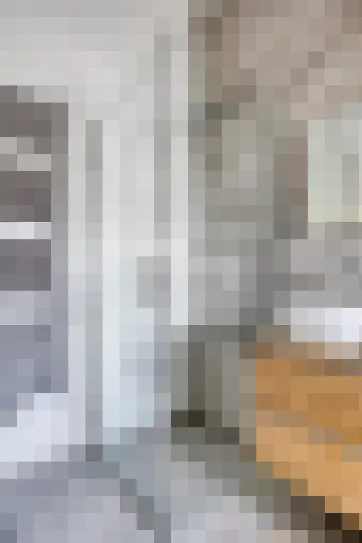 Valkenier 5 Malden thumbnail 30