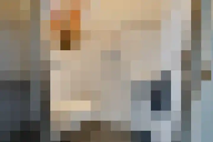 Valkenier 6 Malden thumbnail 13