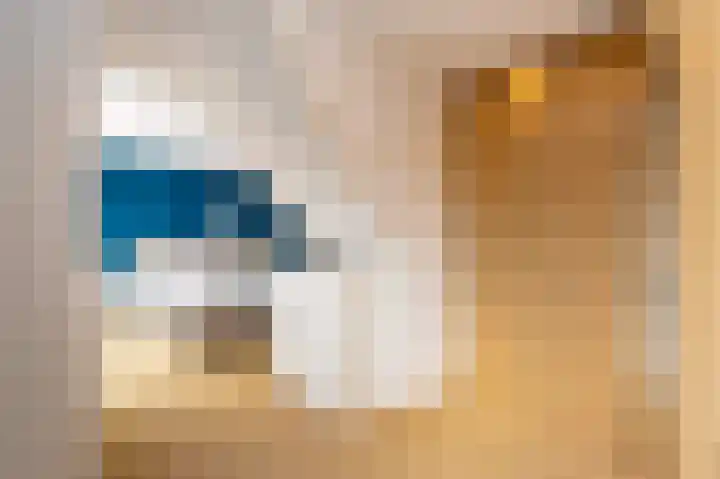 Valkenier 6 Malden thumbnail 17