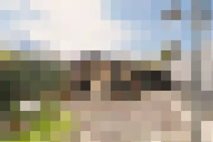 Valkenier 6 Malden thumbnail 30