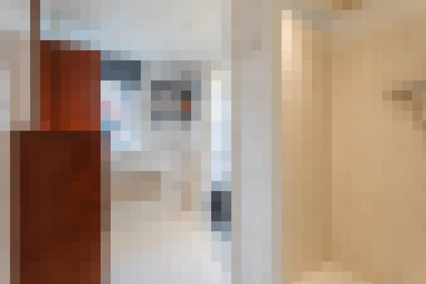Valkenier 7 Rhoon thumbnail 10