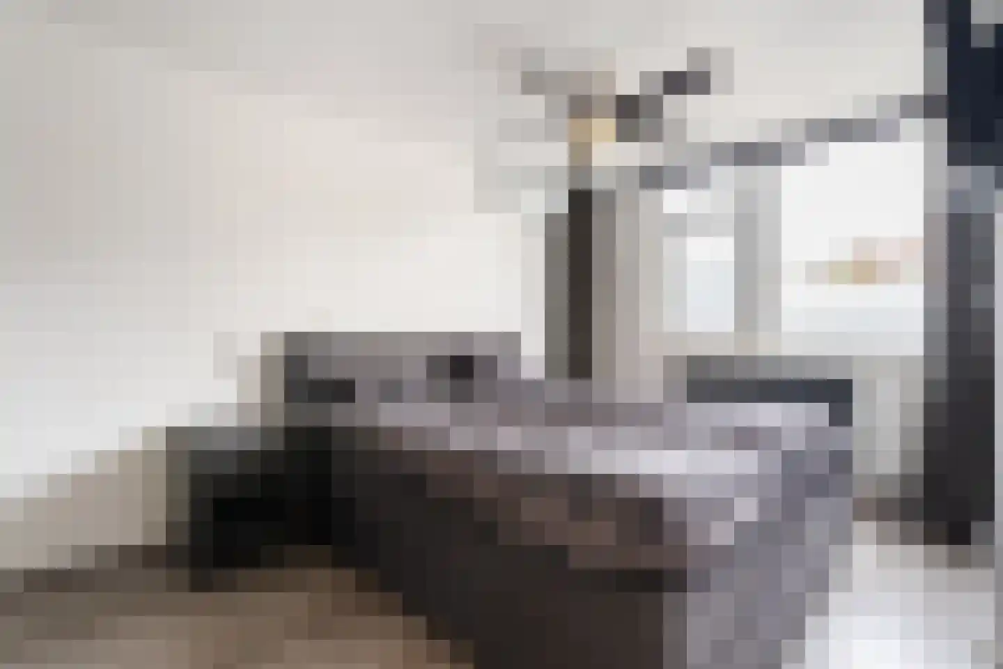 Valkenier 7 Rhoon thumbnail 11