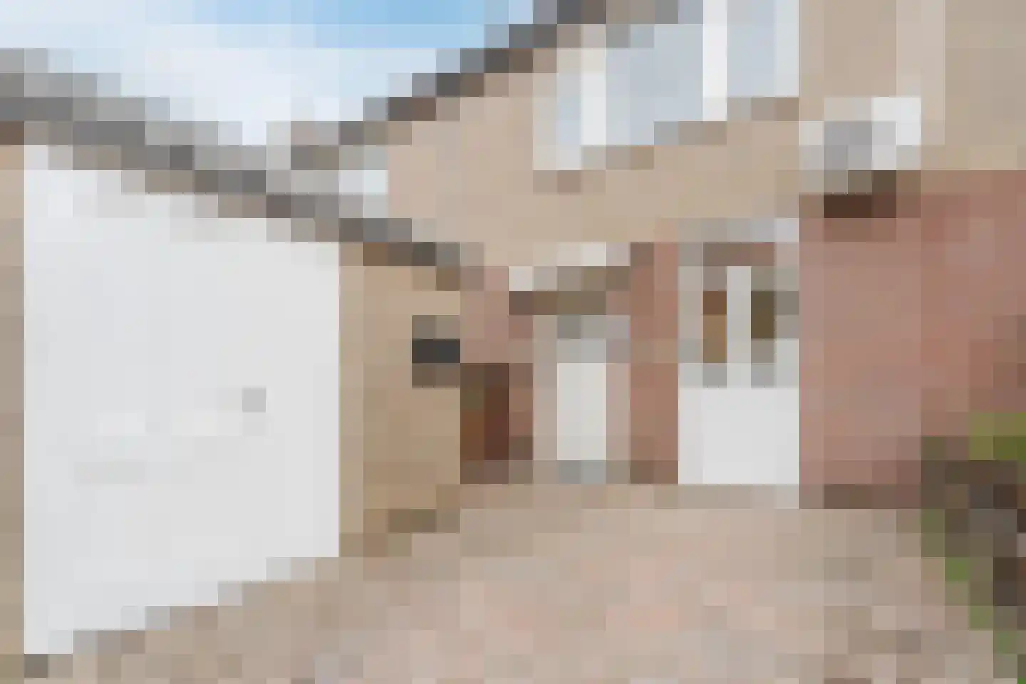 Valkenier 7 Rhoon thumbnail 12