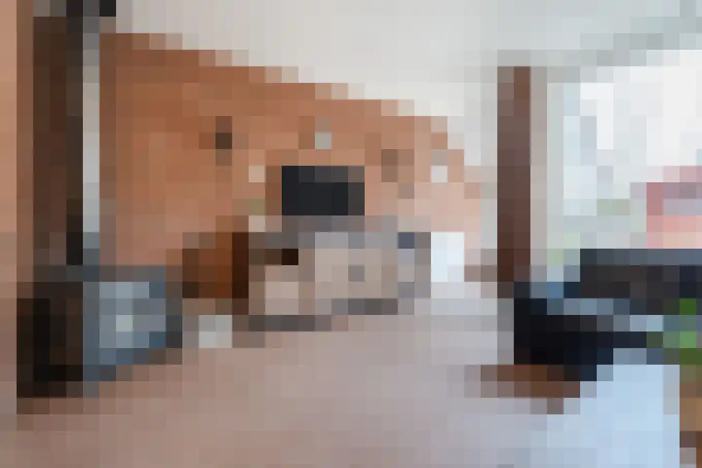 Valkenier 7 Rhoon thumbnail 14