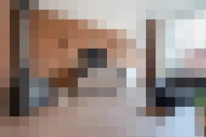 Valkenier 7 Rhoon thumbnail 14