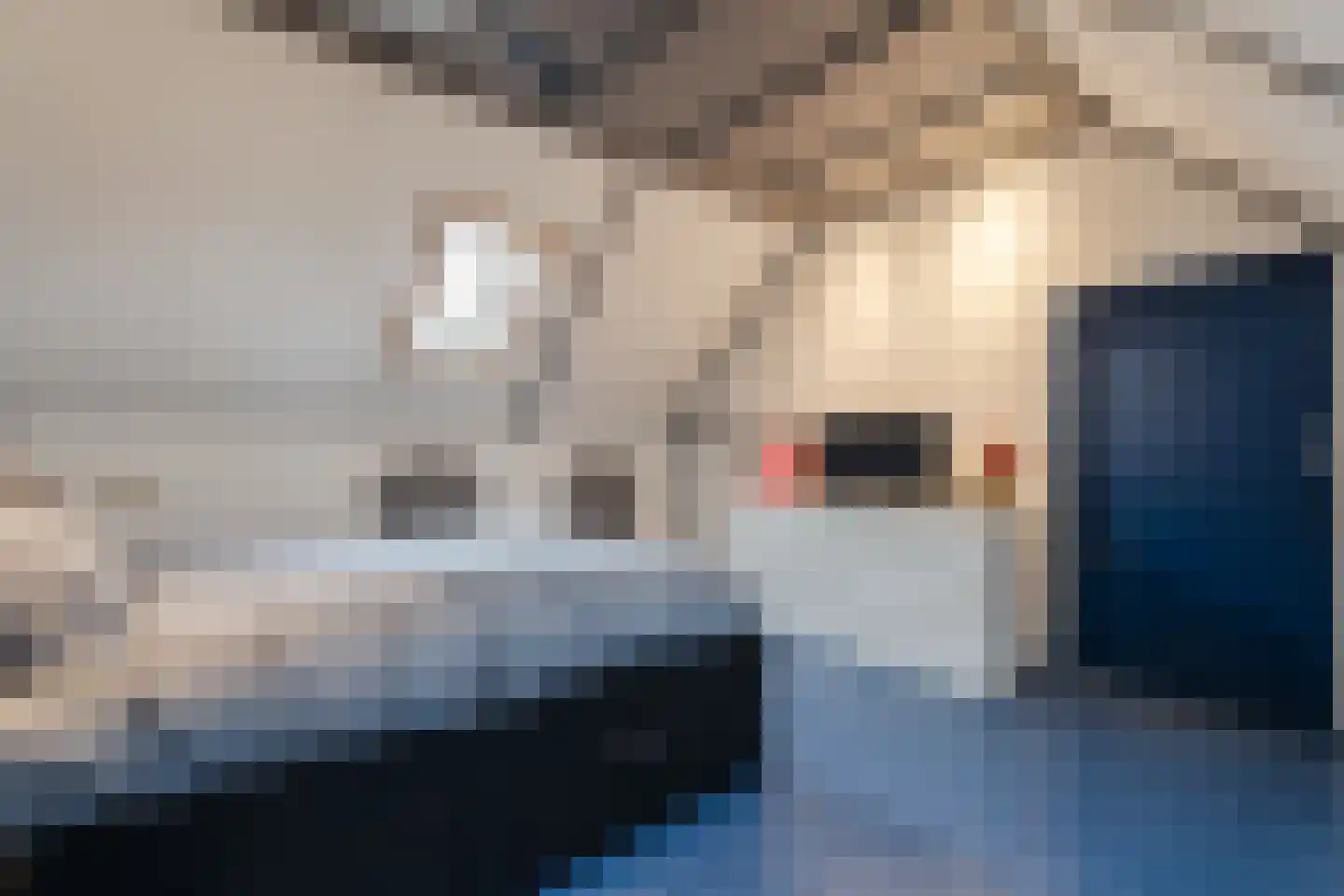 Valkenier 7 Rhoon thumbnail 17