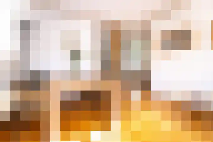 Valkenier 7 Rhoon thumbnail 17