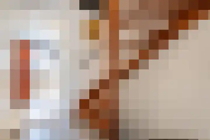 Valkenier 7 Rhoon thumbnail 21