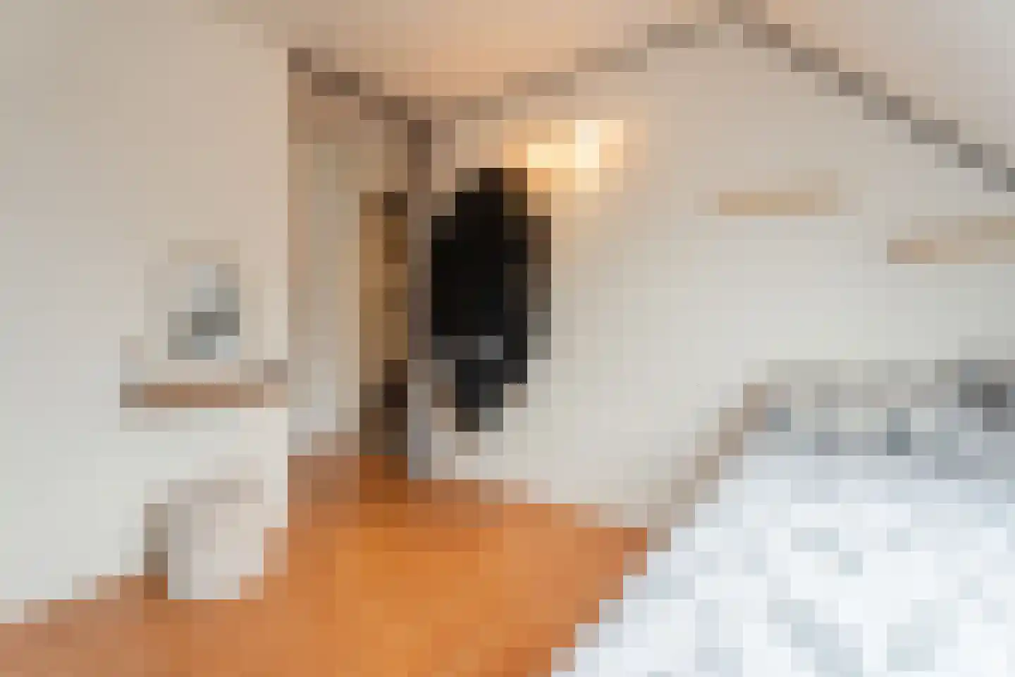 Valkenier 7 Rhoon thumbnail 22