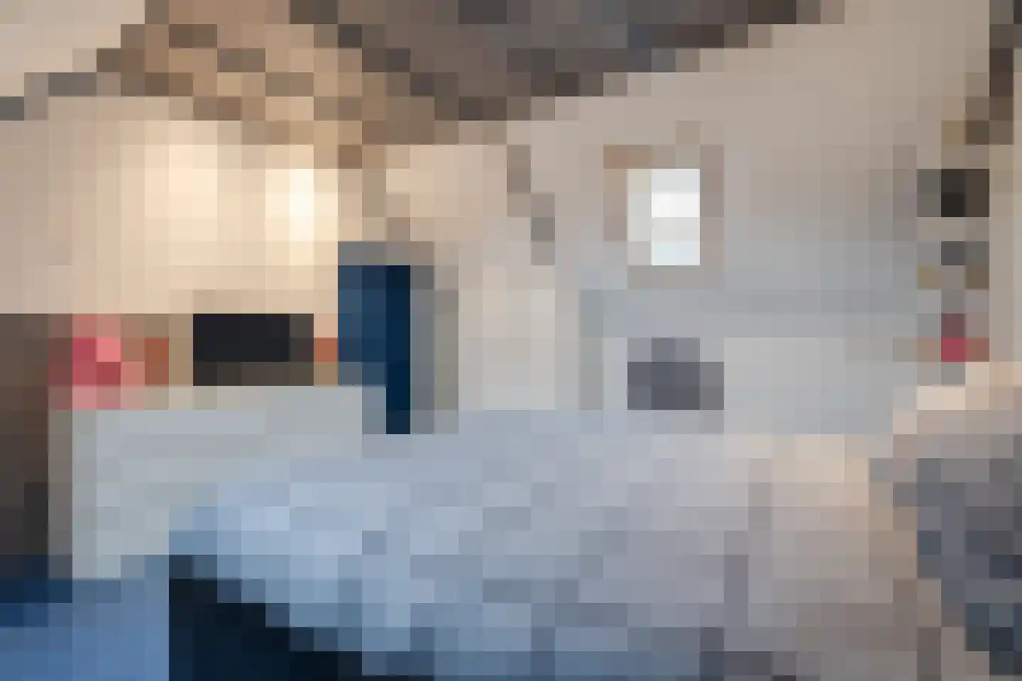 Valkenier 7 Rhoon thumbnail 24