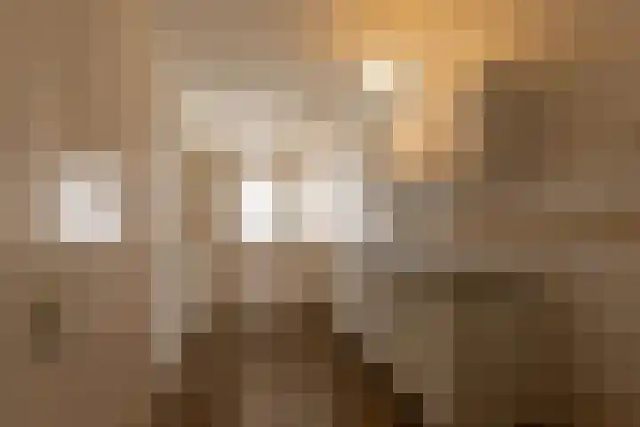 Valkenier 7 Rhoon thumbnail 30