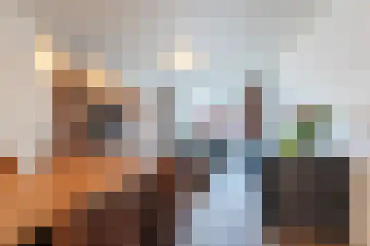 Valkenier 7 Rhoon thumbnail 32