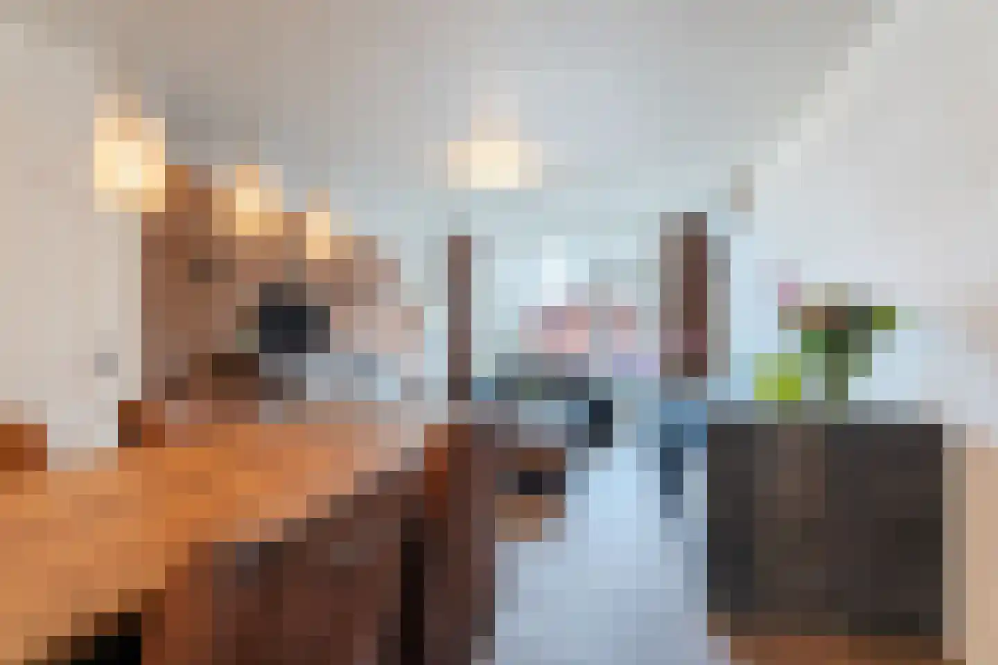 Valkenier 7 Rhoon thumbnail 32