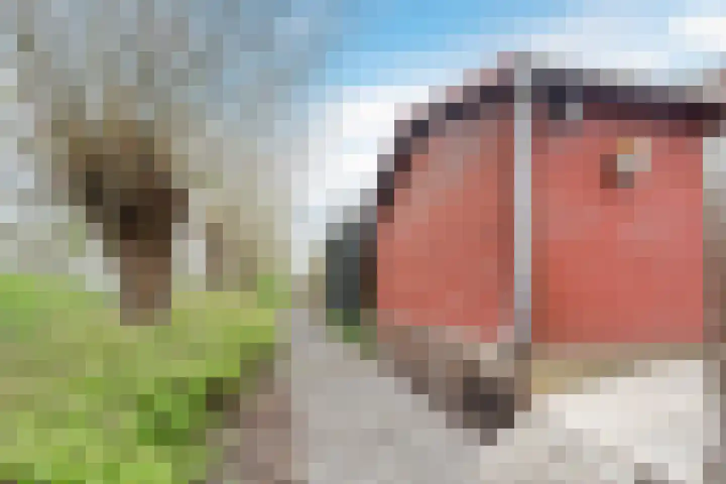 Valkenier 7 Rhoon thumbnail 33