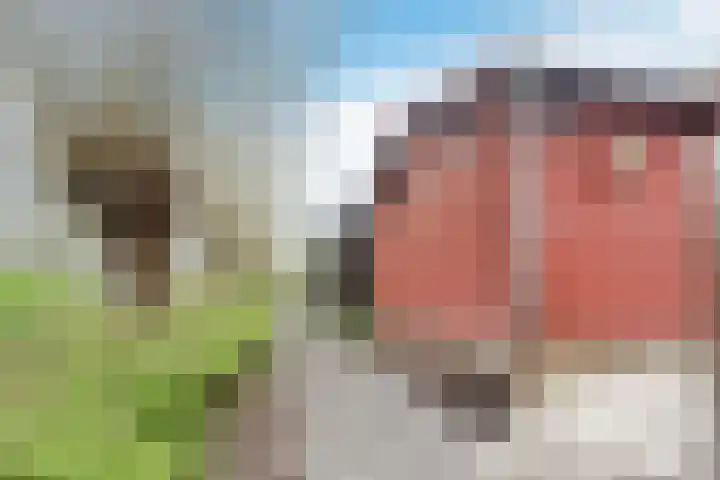 Valkenier 7 Rhoon thumbnail 33