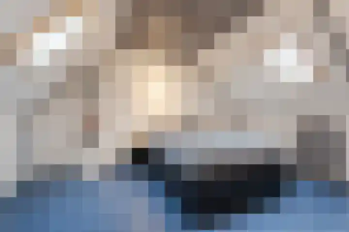 Valkenier 7 Rhoon thumbnail 4