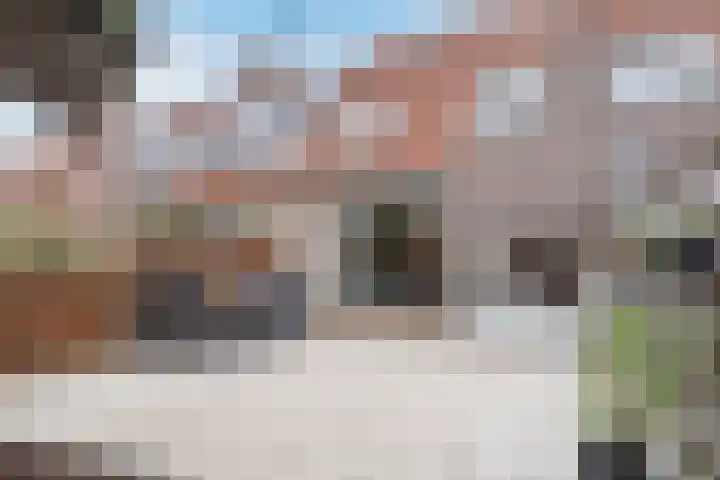 Valkenier 7 Rhoon thumbnail 6